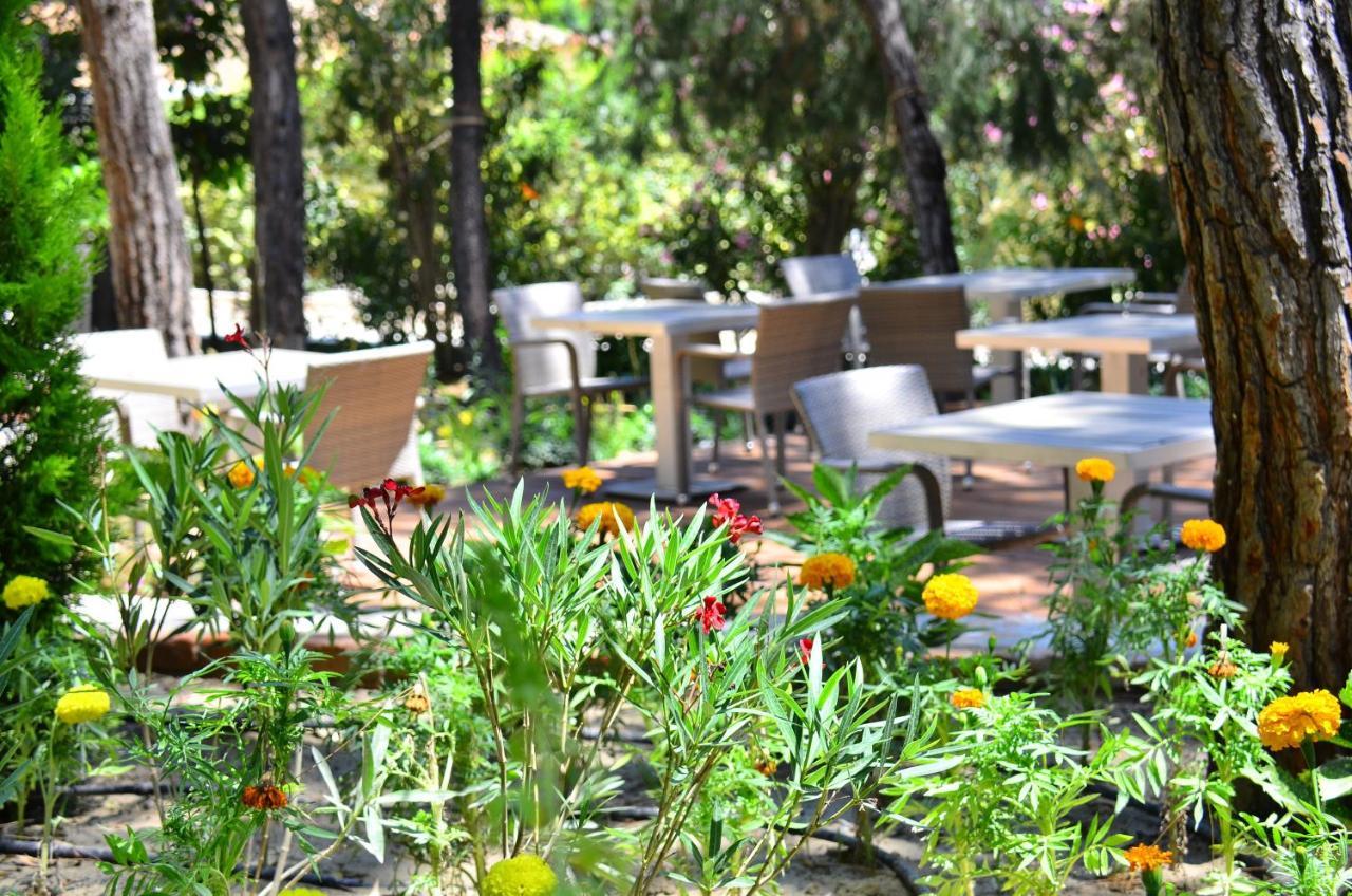 Peninsula Pine Club Boutique & Aparthotel *